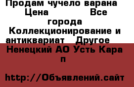 Продам чучело варана. › Цена ­ 15 000 - Все города Коллекционирование и антиквариат » Другое   . Ненецкий АО,Усть-Кара п.